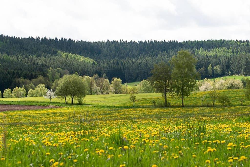 Gaestehaus Kohlberg Kohlberg  Экстерьер фото
